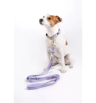 Smycz dla psa treningowa Qooper Nylon