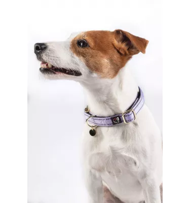 Obroża dla psa Ida Nylon