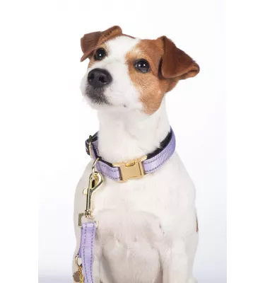 Obroża dla psa Ida Nylon