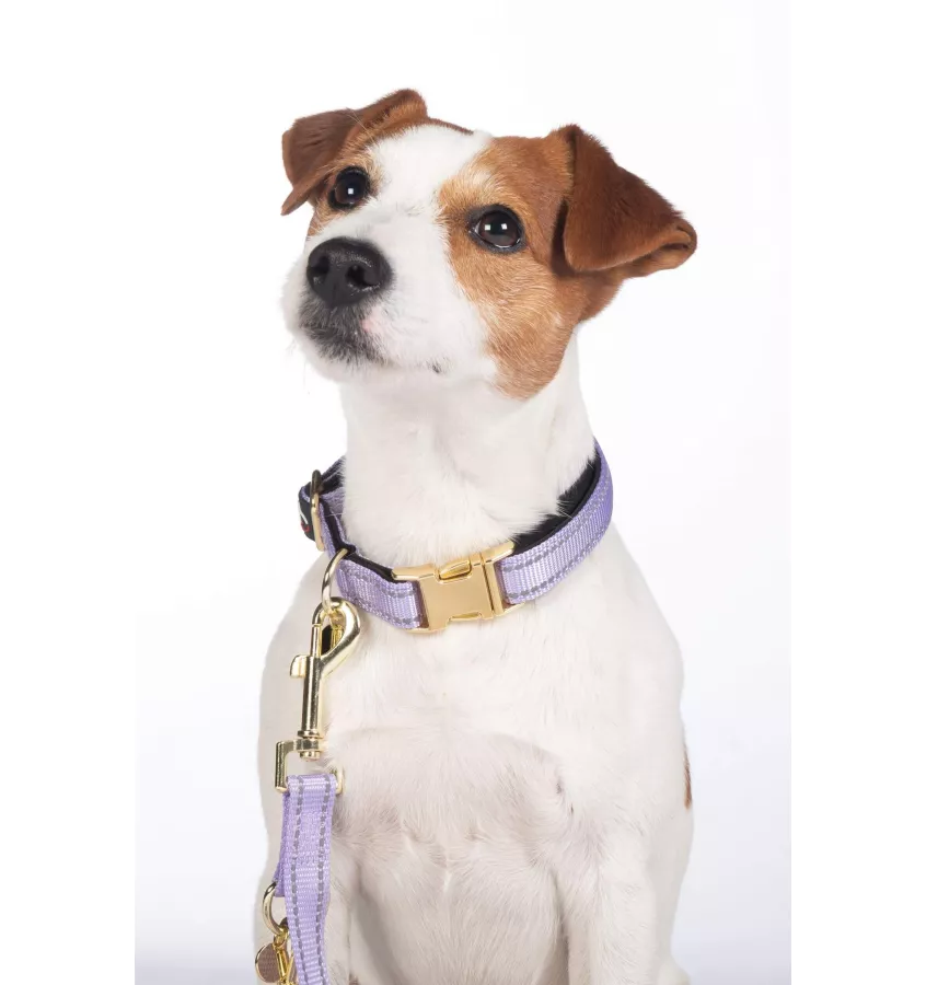 Obroża dla psa Ida Nylon