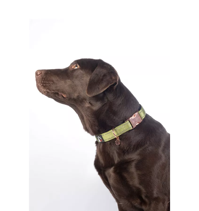 Obroża dla psa Ida Nylon