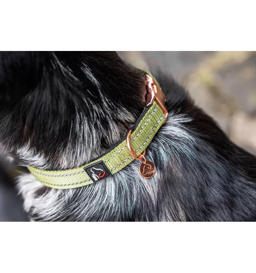 Obroża dla psa Ida Nylon