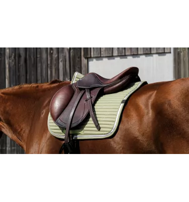 Czaprak wszechstronny Equitheme Spring burgund