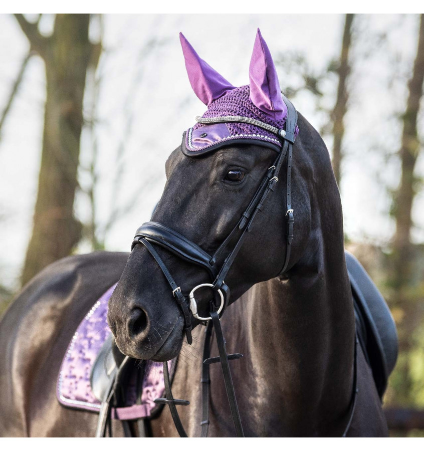 Naczółek dla konia Fayen cob