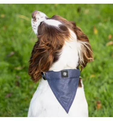 Obroża dla psa z bandamką emerald M