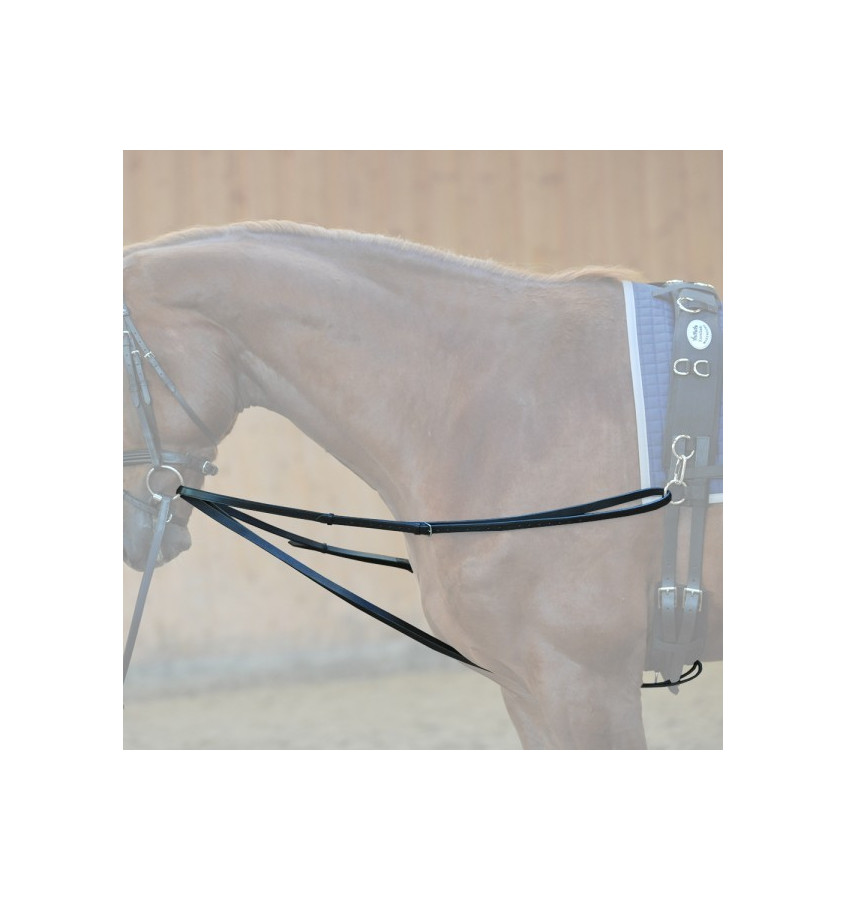 Wypinacze trójkątne