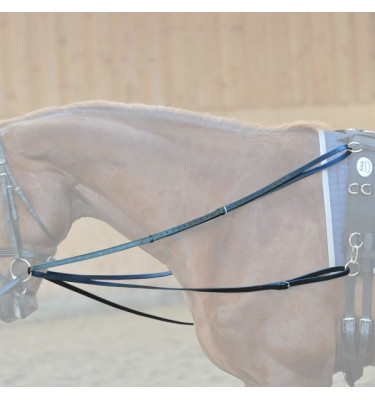 Wypinacze trójkątne