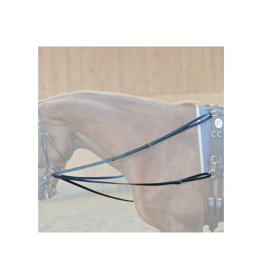 Wypinacze trójkątne