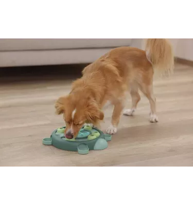 Zabawka edukacyjna dla psa Żółw