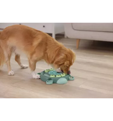 Zabawka edukacyjna dla psa Żółw