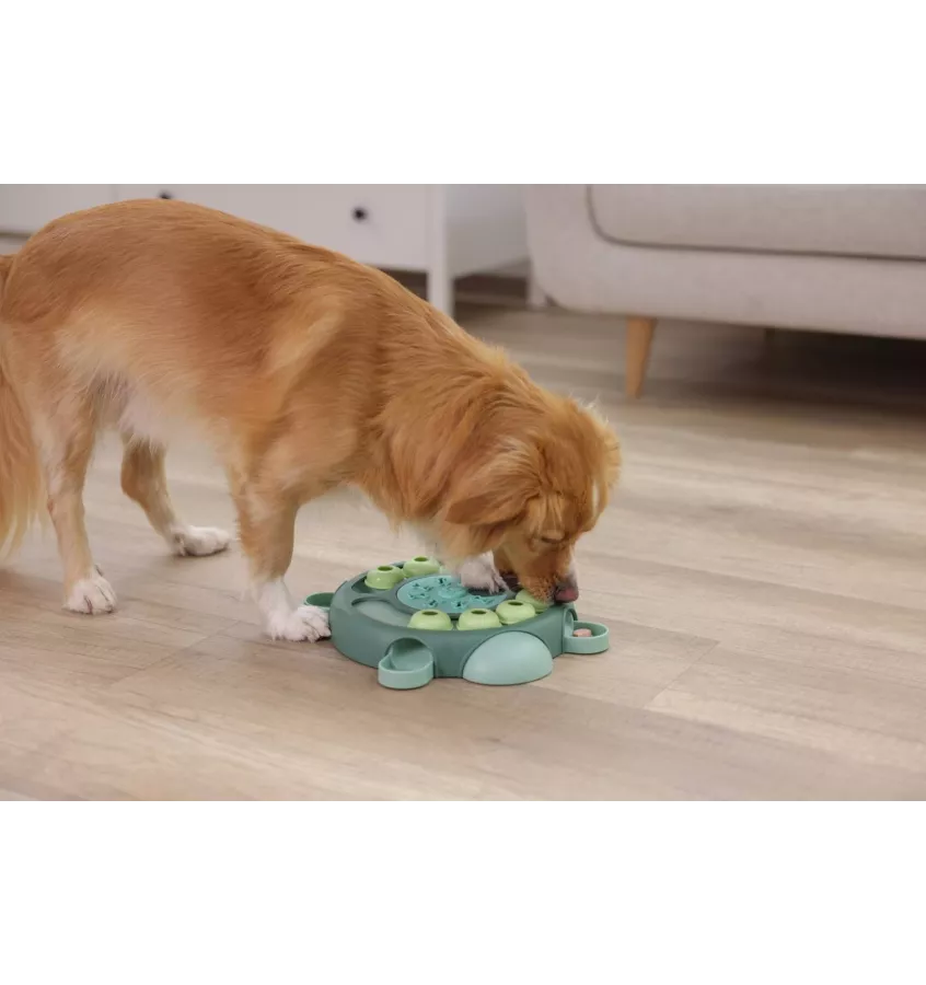 Zabawka edukacyjna dla psa Żółw