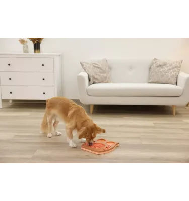 Zabawka edukacyjna dla psa Sowa