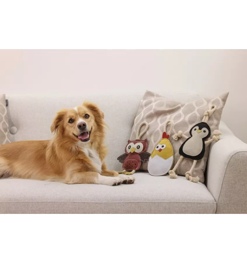 Szarpak zabawka dla psa Sowa