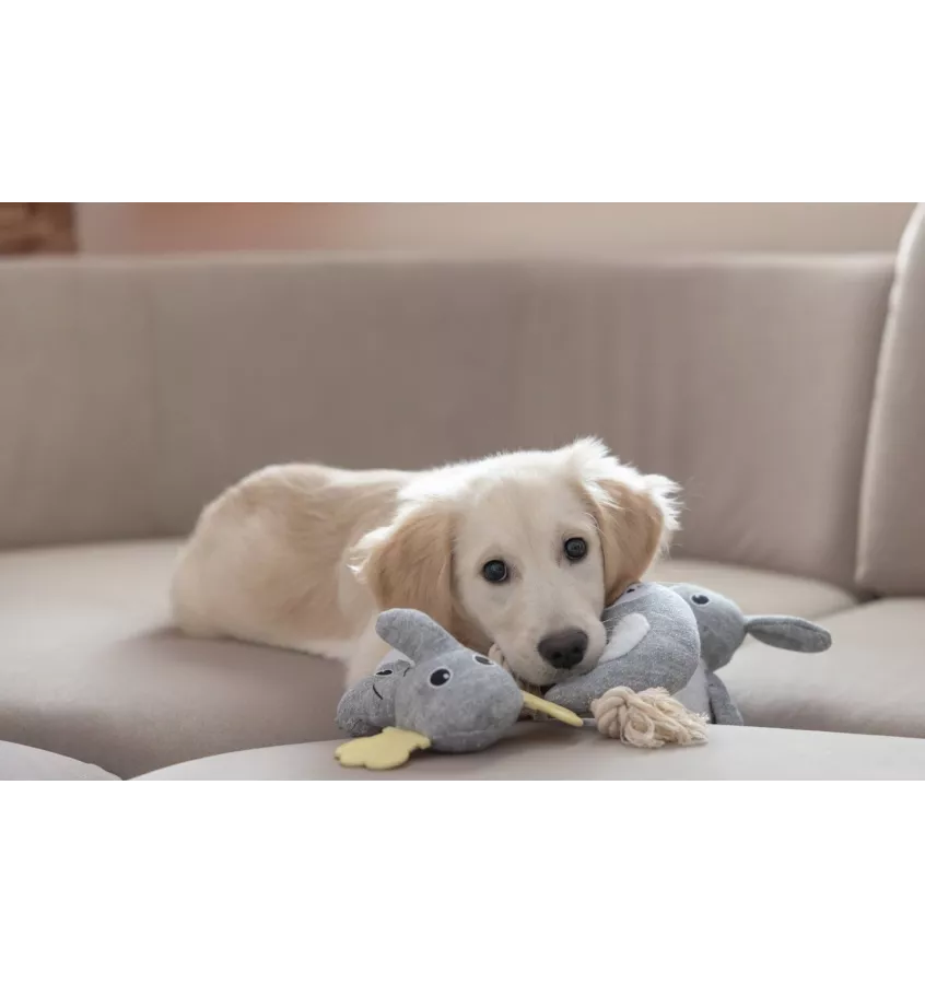 Zabawka dla szczeniaka słoń