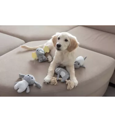 Zabawka dla szczeniaka słoń