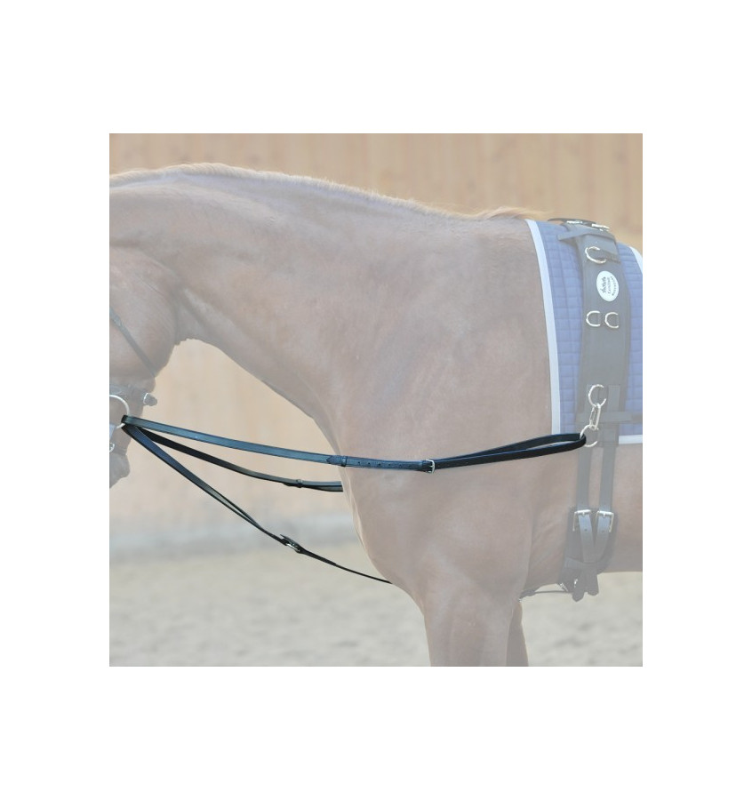 Wypinacze trójkątne pony