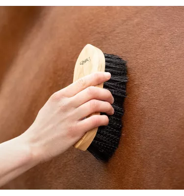 Szczotka do konia z magnesem