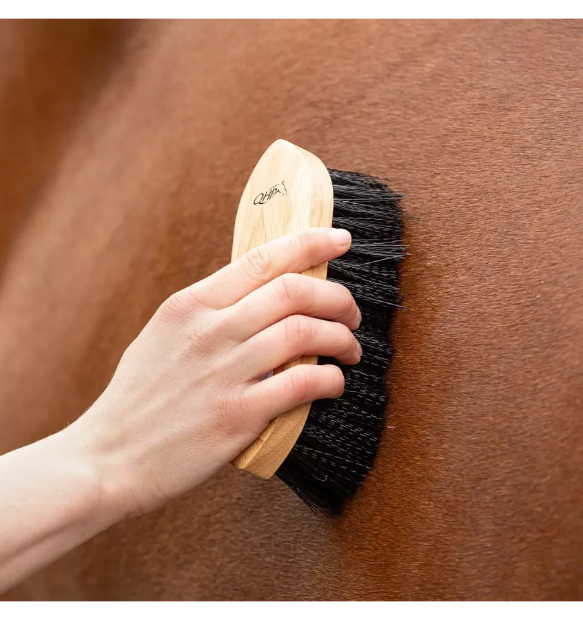 Szczotka do konia z magnesem