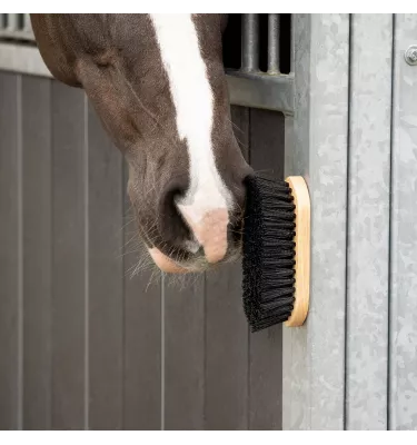 Szczotka do konia z magnesem