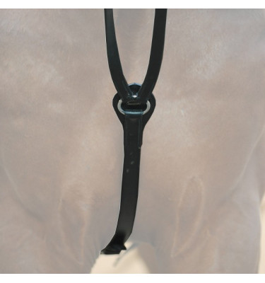 Wypinacze trójkątne pony