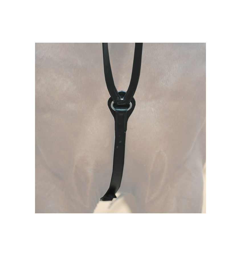 Wypinacze trójkątne pony