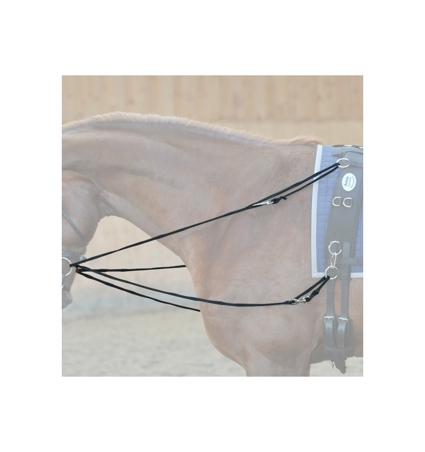 Wypinacze trójkątne