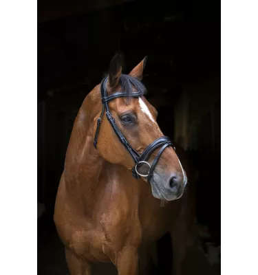 Ogłowie dla konia Eric Thomas Wave czarny cob