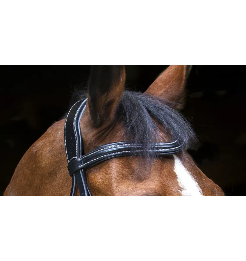 Ogłowie dla konia Eric Thomas Wave czarny cob