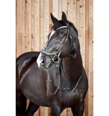Ogłowie anatomiczne dla konia Highbury czarny full