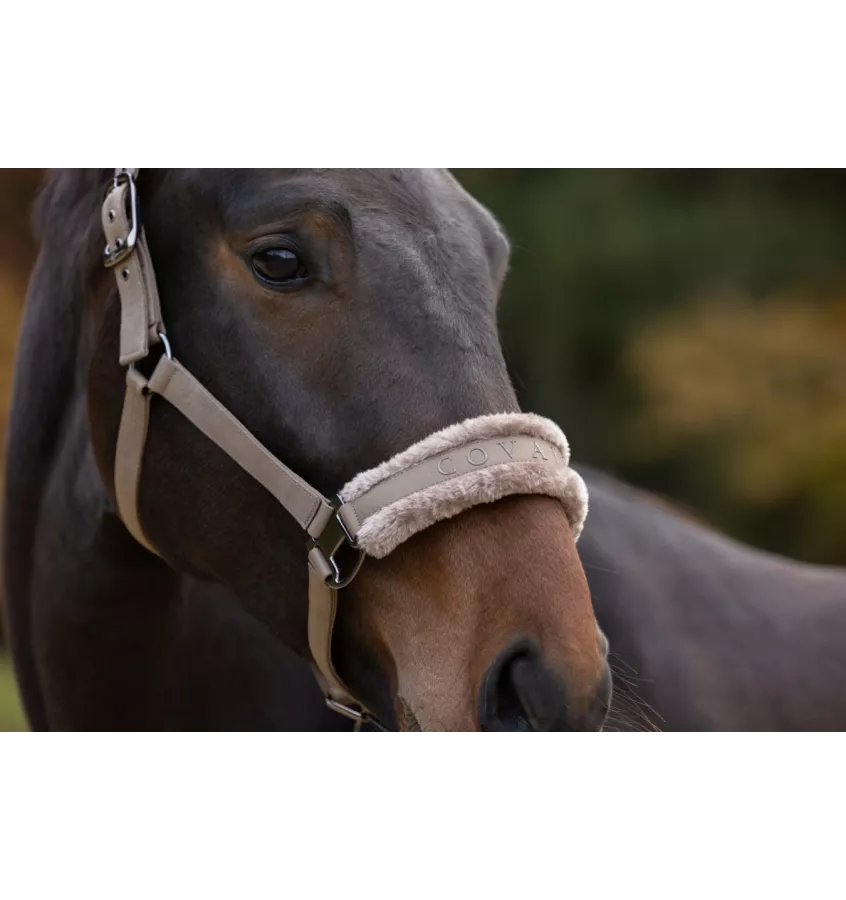 Kantar Covalliero zima 2024 granat cob