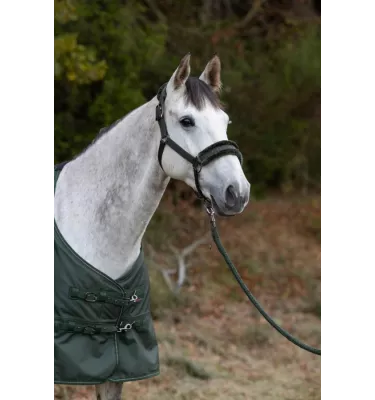 Kantar Covalliero zima 2024 granat cob