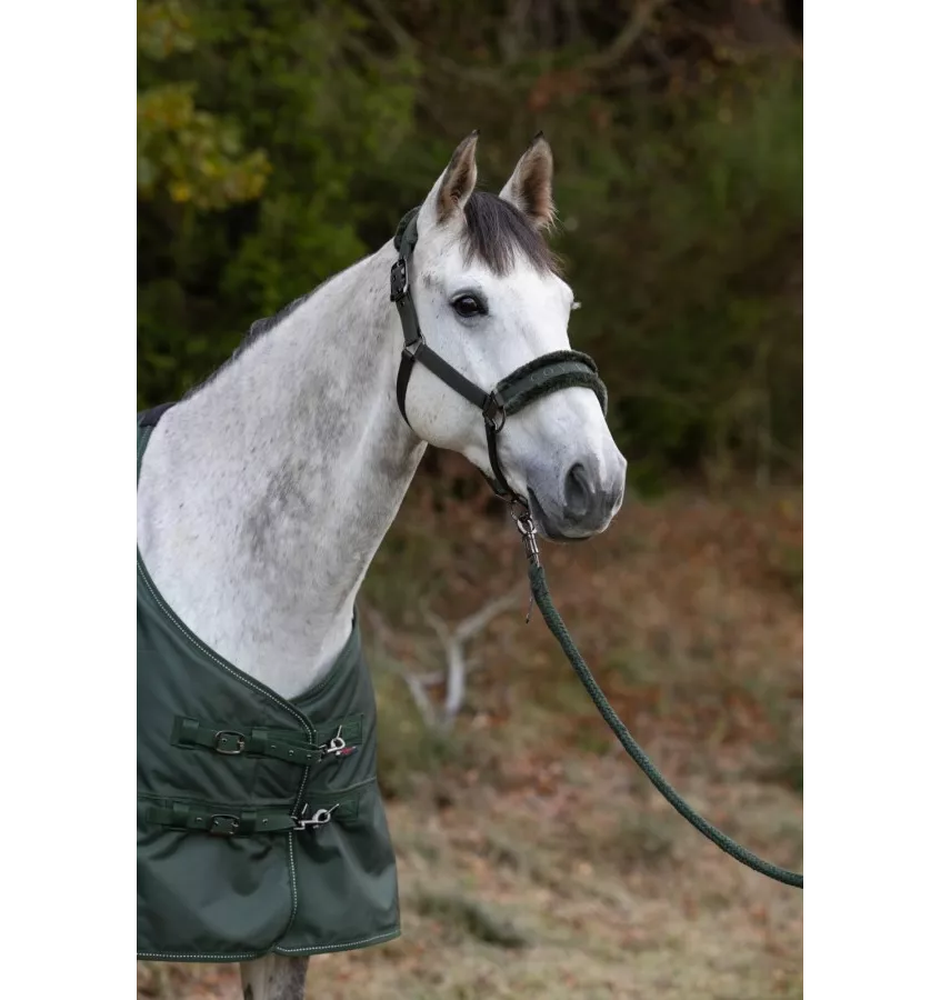 Kantar Covalliero zima 2024 granat cob