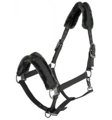 Kantar Covalliero zima 2024 granat cob