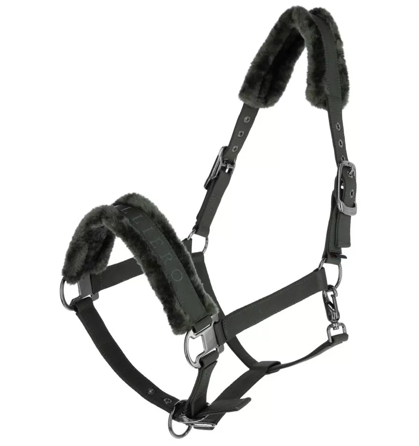 Kantar Covalliero zima 2024 granat cob