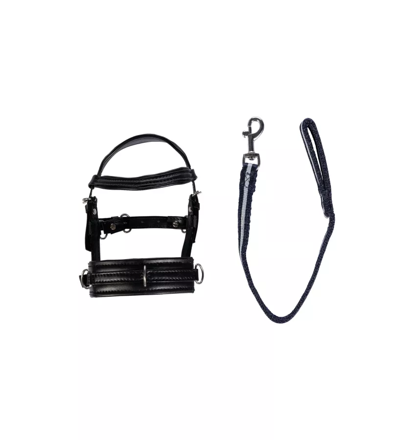 Zestaw do lonżowania dla konika Cuddle Pony