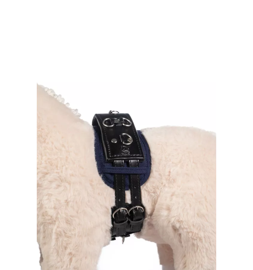 Zestaw do lonżowania dla konika Cuddle Pony