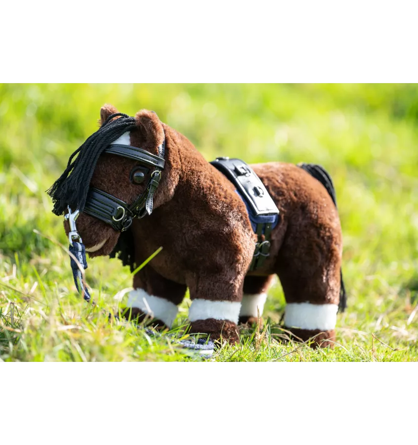 Zestaw do lonżowania dla konika Cuddle Pony