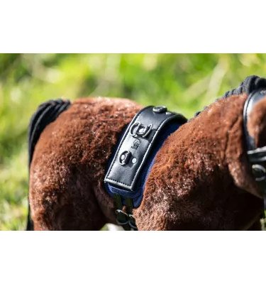 Zestaw do lonżowania dla konika Cuddle Pony