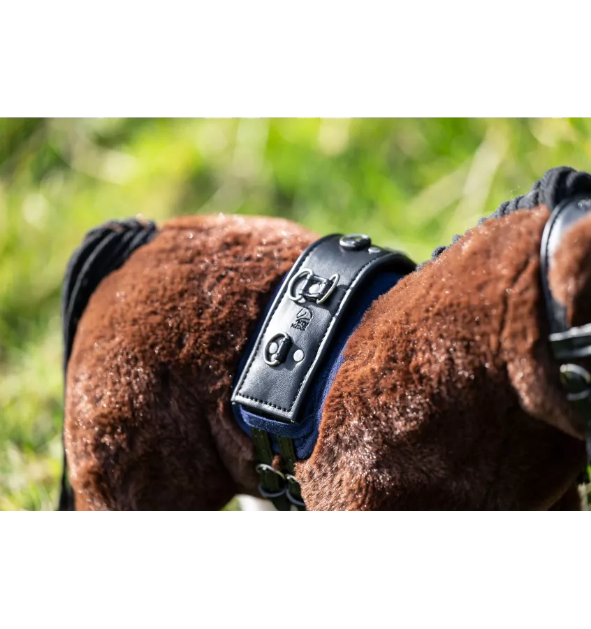 Zestaw do lonżowania dla konika Cuddle Pony