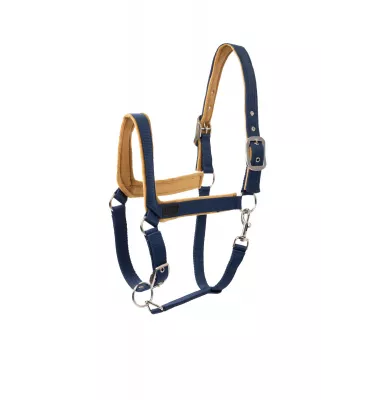 Kantar dla konia Delemont nieb cob