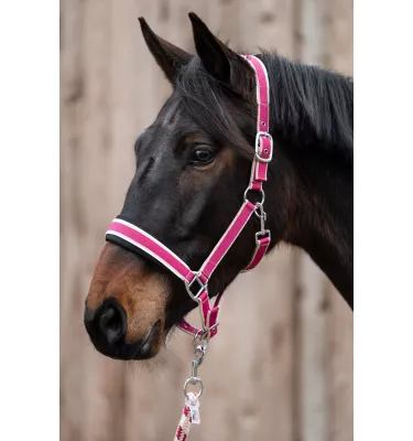 Kantar z uwiązem dla konia Kopenhagen ziel cob