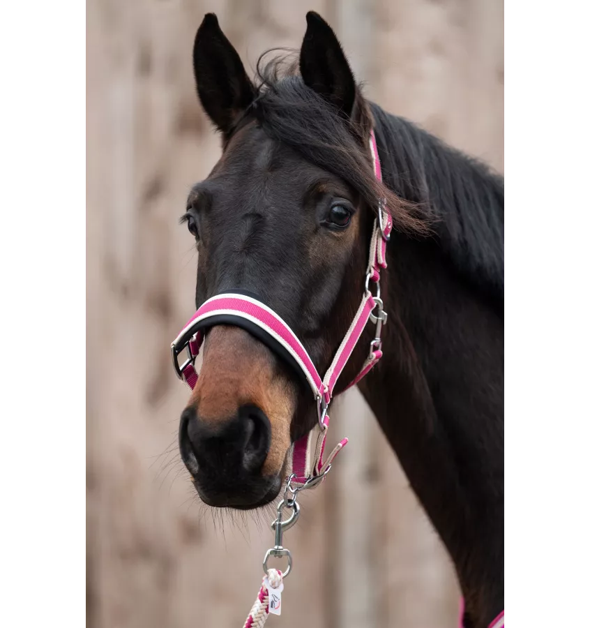 Kantar z uwiązem dla konia Kopenhagen ziel cob