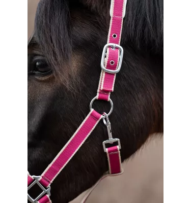 Kantar z uwiązem dla konia Kopenhagen ziel cob