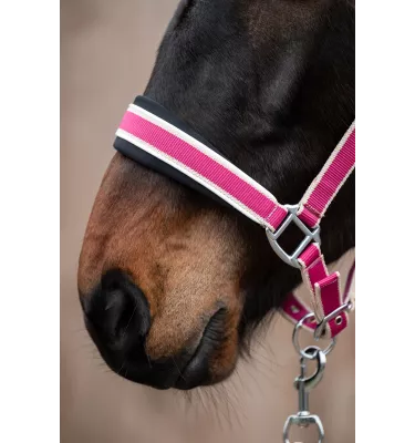 Kantar z uwiązem dla konia Kopenhagen ziel cob