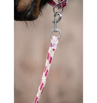 Kantar z uwiązem dla konia Kopenhagen ziel cob