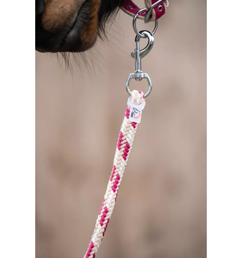 Kantar z uwiązem dla konia Kopenhagen ziel cob