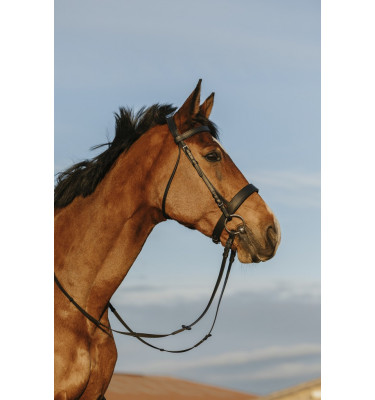 Ogłowie Riding World z szerokim nachrapnikiem cob