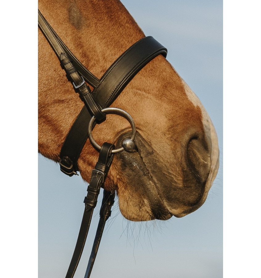 Ogłowie Riding World z szerokim nachrapnikiem cob