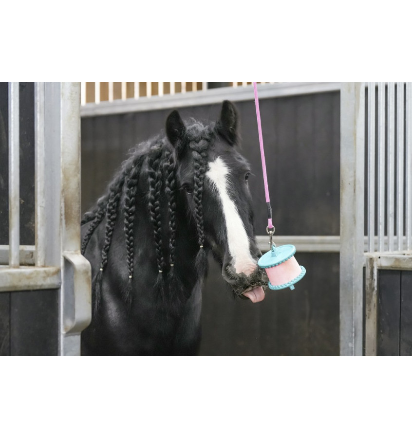 Lizawka Likit czosnek 650g