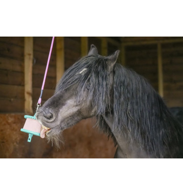 Lizawka Likit czosnek 650g